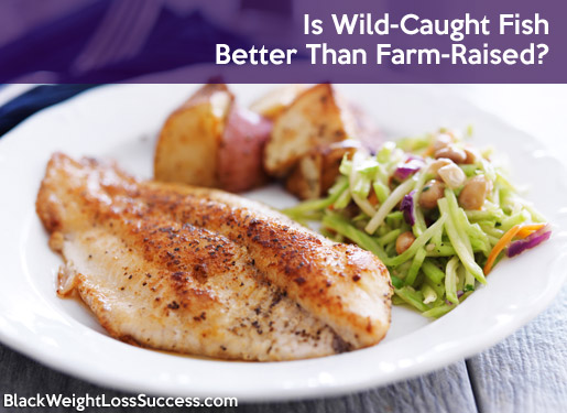 wild caught farm raised fish